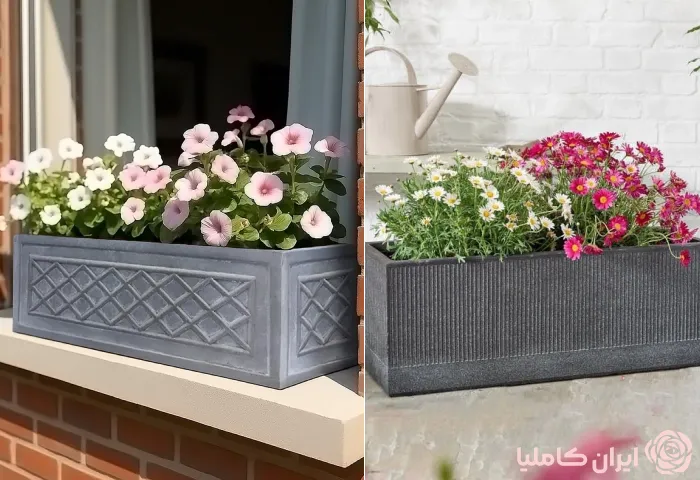 فلاورباکس بتنی